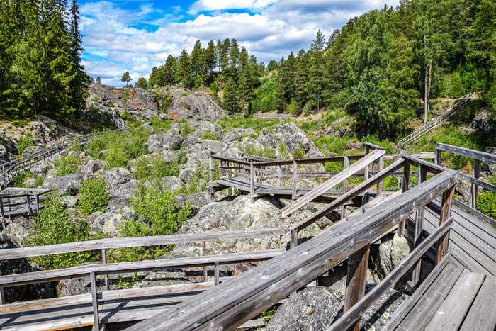 Håkan Skogsjö