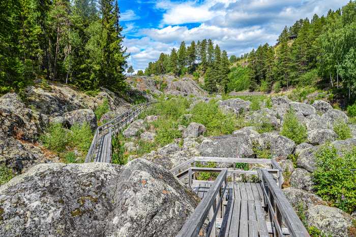 Håkan Skogsjö
