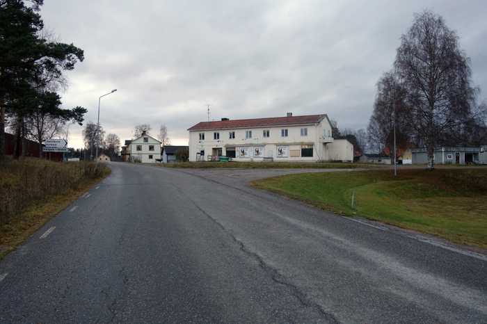 Skogsfrun