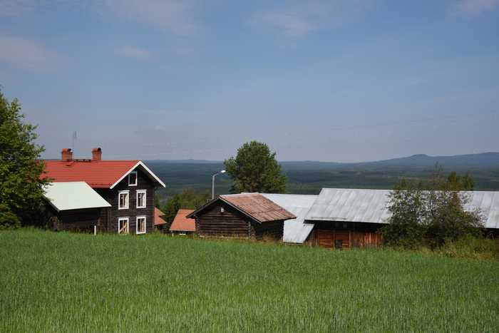 Mattias Blomgren