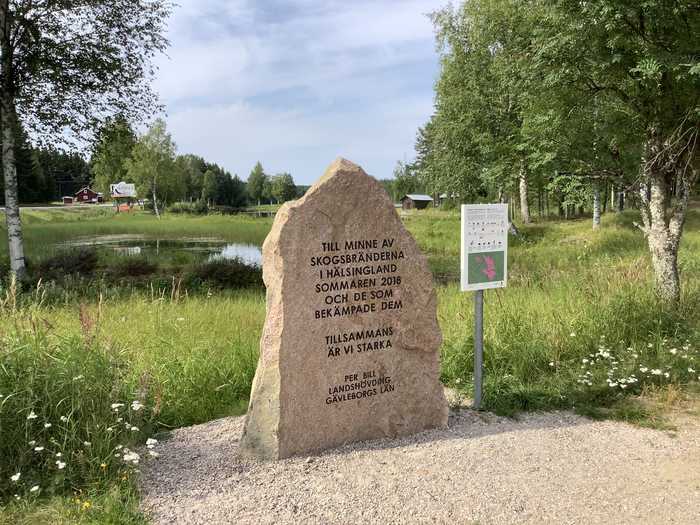 Sinikka Halme