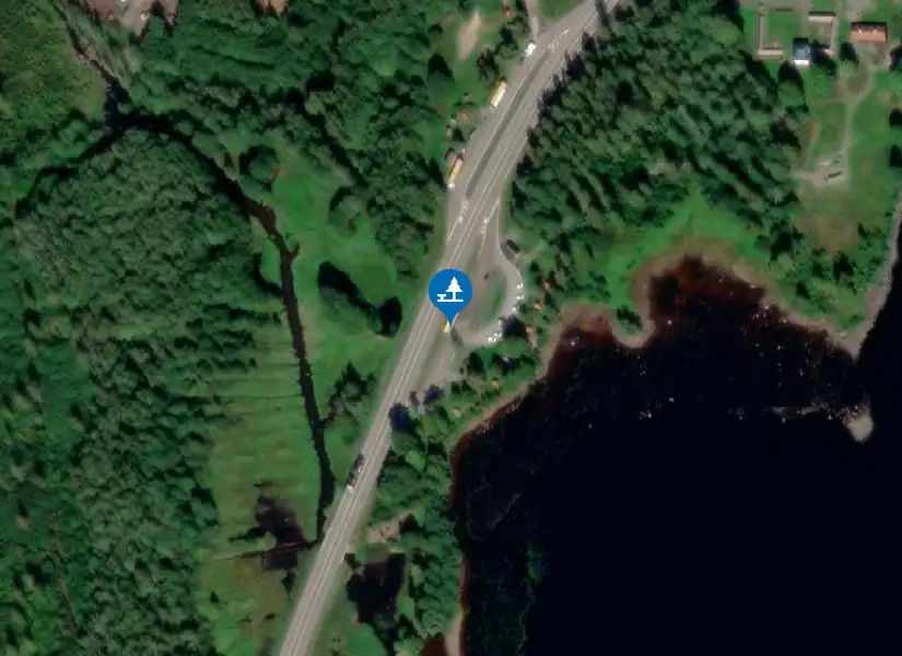 Satellitbild över Borasjön Ö