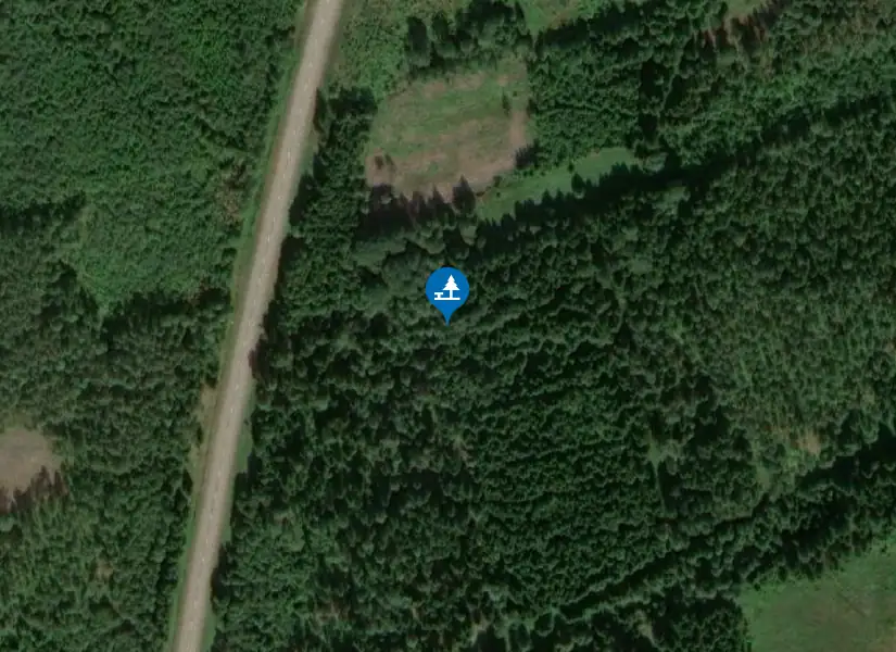 Satellitbild över Skärsjö