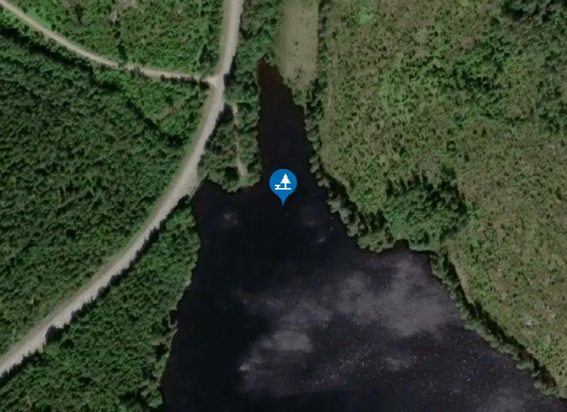 Satellitbild över Fjellingstjärn