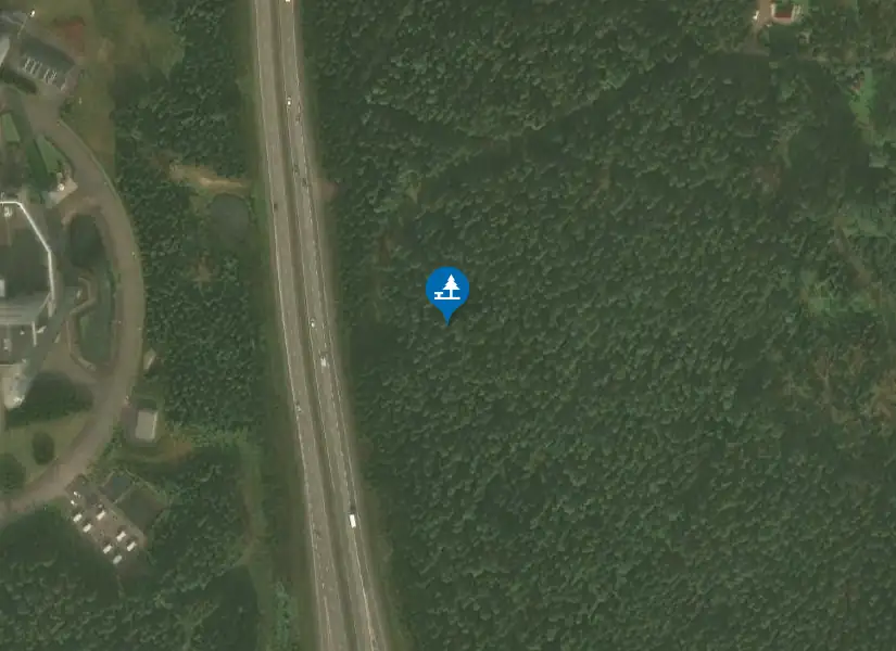 Satellitbild över Torsvik