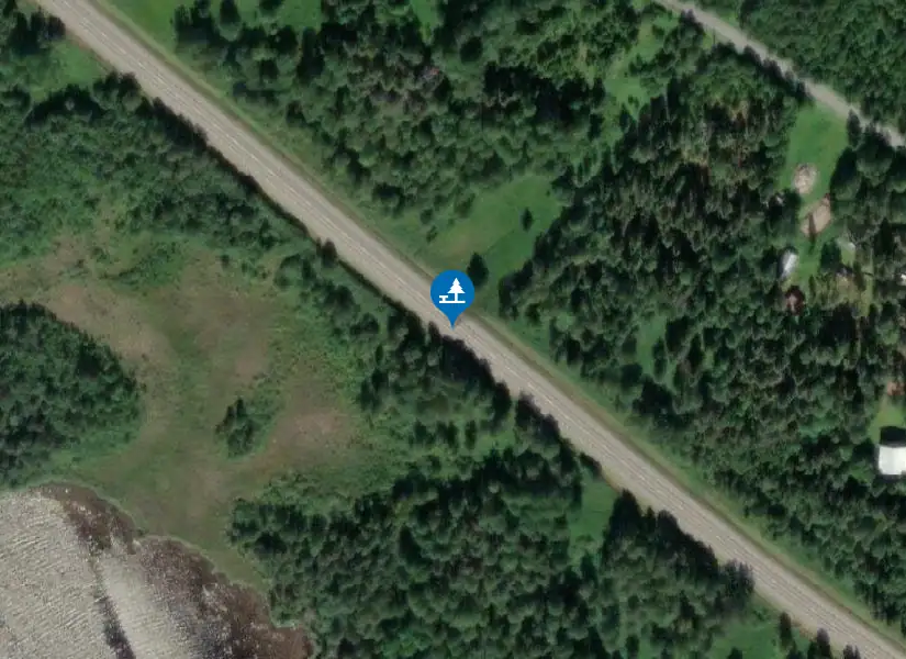 Satellitbild över Borgsjö