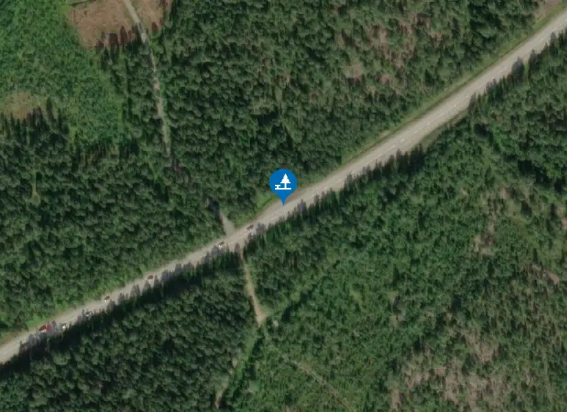 Satellitbild över Skogsväg