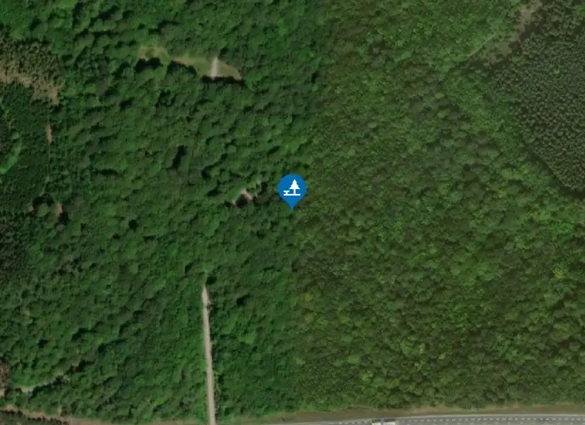 Satellitbild över Ryssberget
