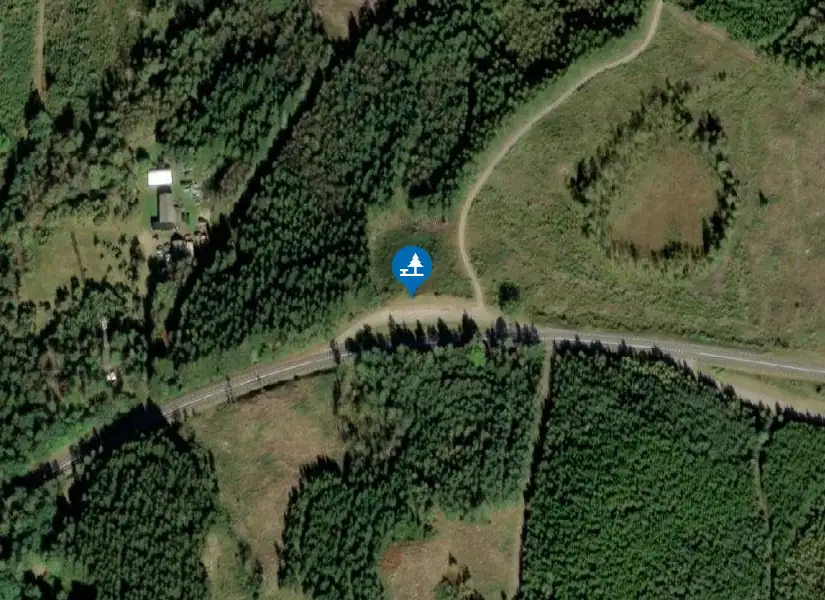 Satellitbild över Vägficka