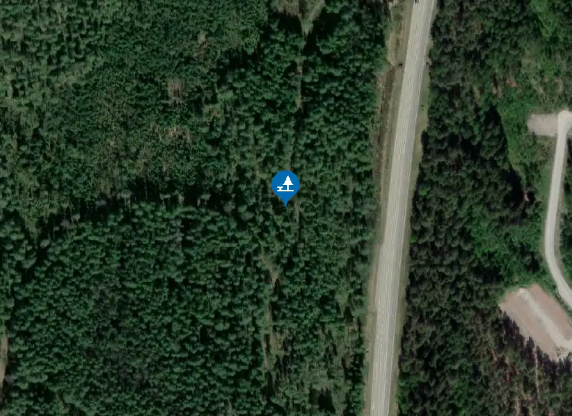 Satellitbild över Skogsstig