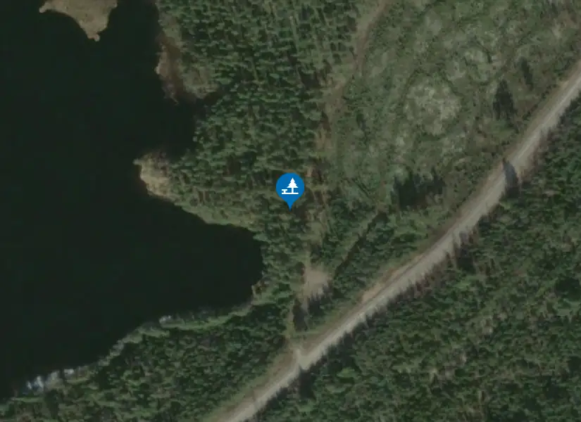 Satellitbild över Stora Tjärn